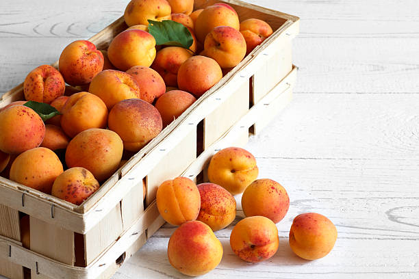 istock Whole orange apricots with red blush. 483540190
