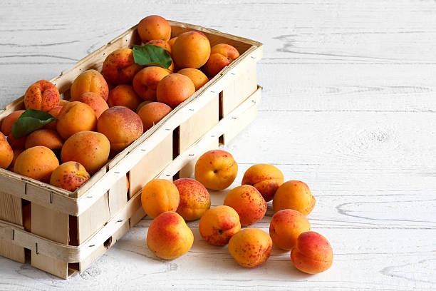 istock Whole orange apricots with red blush. 483540192