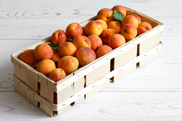 istock Whole orange apricots with red blush. 483543528
