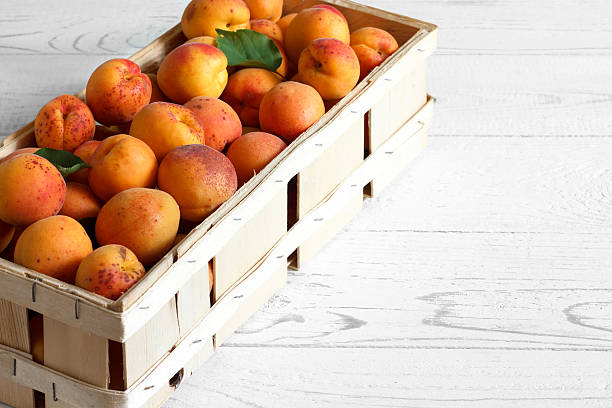 istock Whole orange apricots with red blush. 483543532