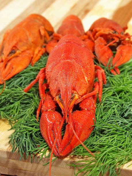 istock Red boiled crawfishes and green fennel on a cutting board. 483544975