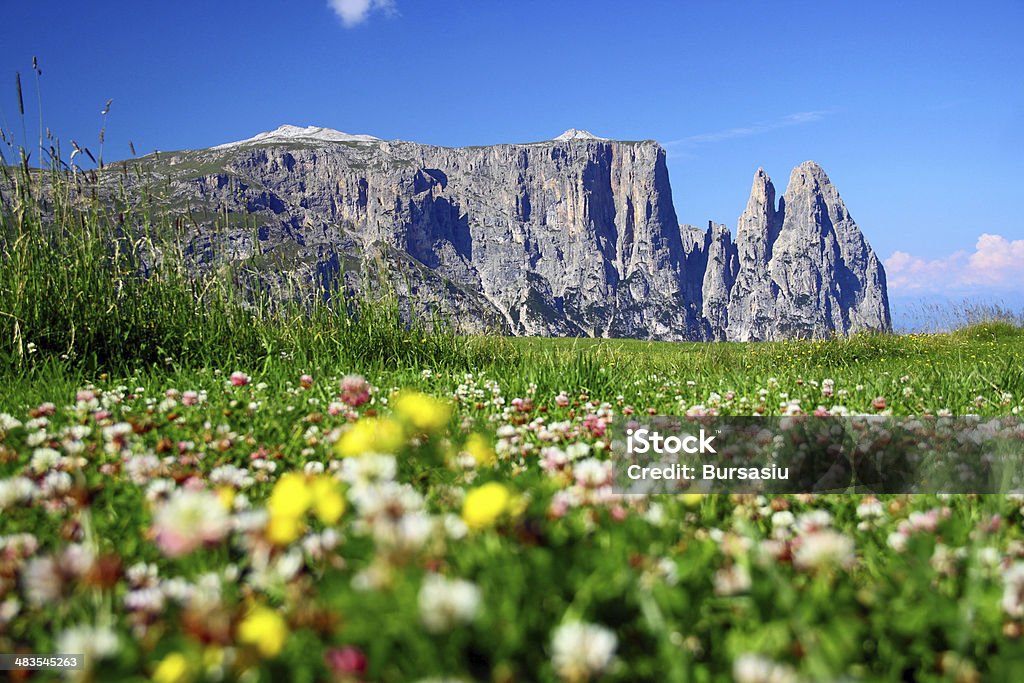 Paisagem de montanha de primavera - Foto de stock de Alpes europeus royalty-free