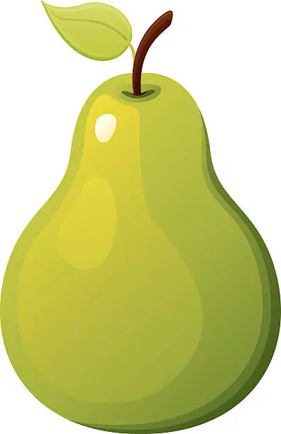 Vector illustration of Pear