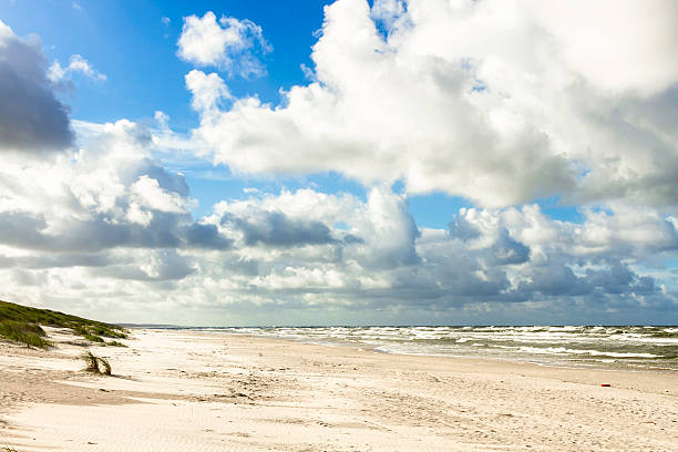 istock Sand beach on Baltic sea 483546195