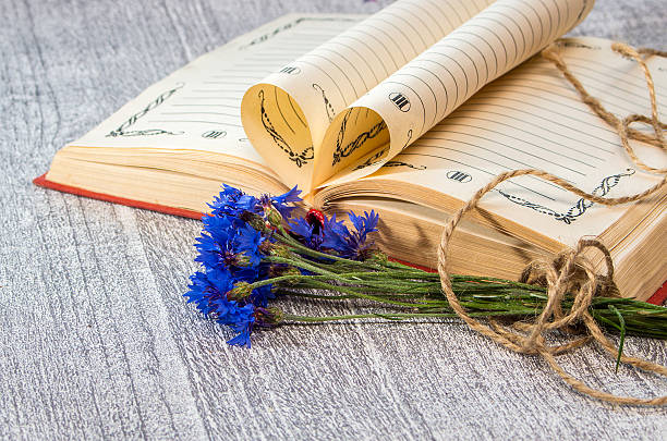 istock Book pages folded into a heart and a flower 483550140