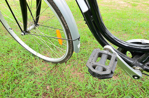 istock Side shot of the bicycle paddle in the park 483556810