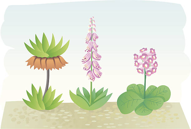 ładny gardenflowers. - sandweg stock illustrations