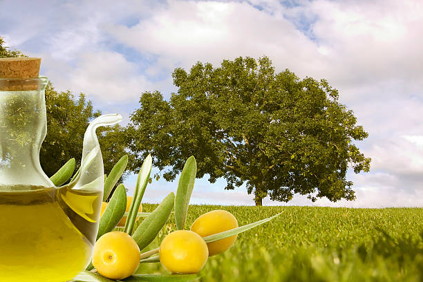 istock oil and olives 483558781
