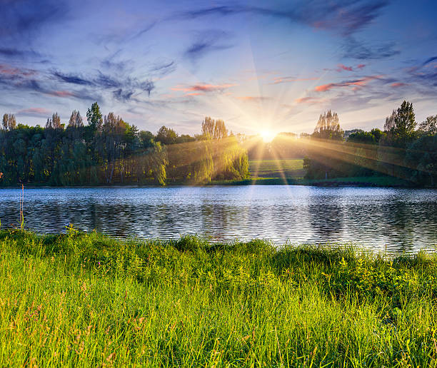 美しい夏の湖の風景 - grass lake ストックフォトと画像