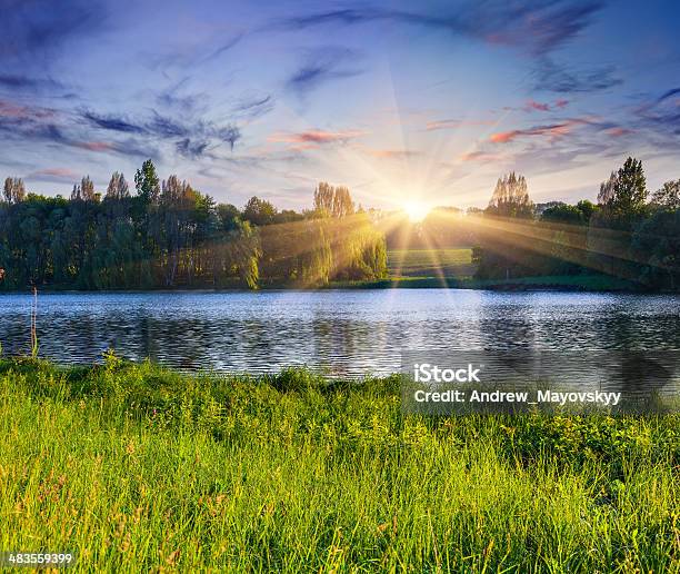 Beautiful Summer Landscape On The Lake Stock Photo - Download Image Now - Lake, Sunrise - Dawn, Pond