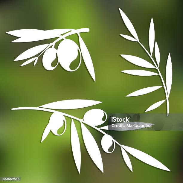 Graphic Olive Tree Branches Stock Illustration - Download Image Now - Abstract, Antioxidant, Art