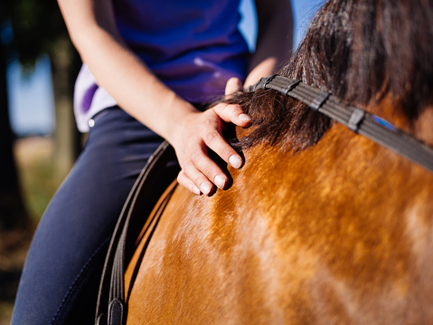Cropped image of a girl sitting astride a horse caringly touching it's glossy side