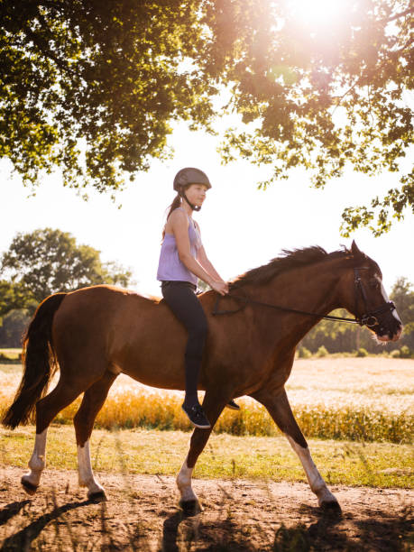 istock Girl riding a beautiful horse on path alongside a field 483561064