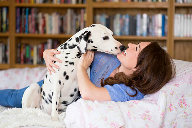 istock Kisses from my pooch 483561354