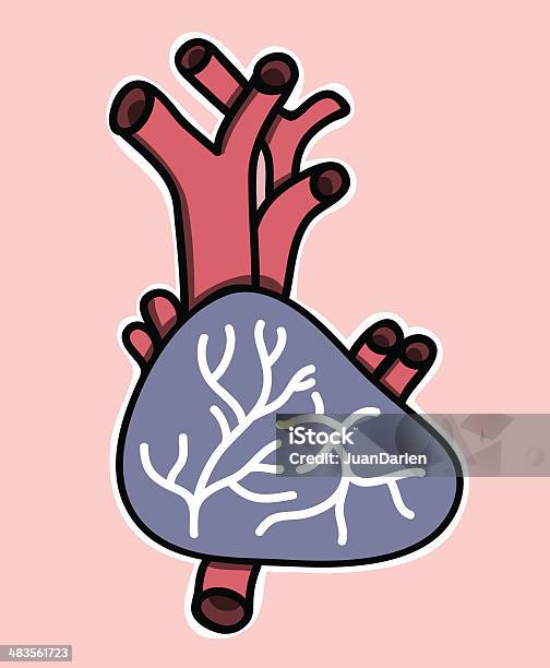 Der Hearth Stock Vektor Art und mehr Bilder von Anatomie - Anatomie, Aorta, Biologie