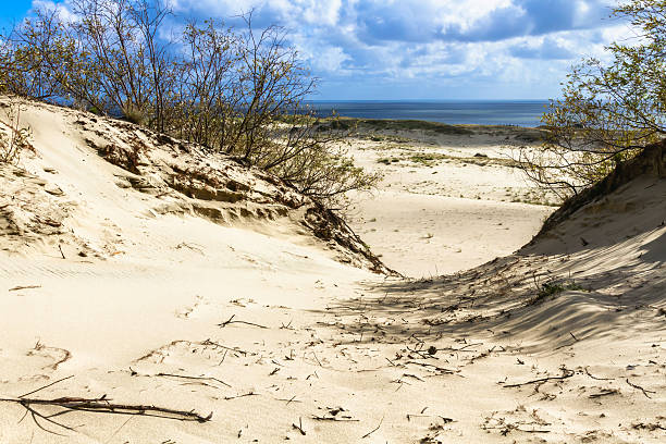 istock Sand dune in Curonian Gulf 483562203