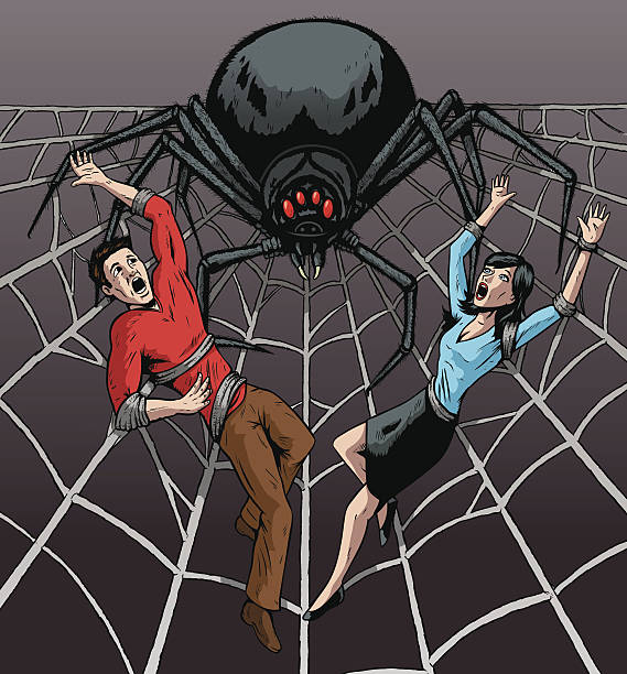 пара в страх и риск - black widow spider stock illustrations