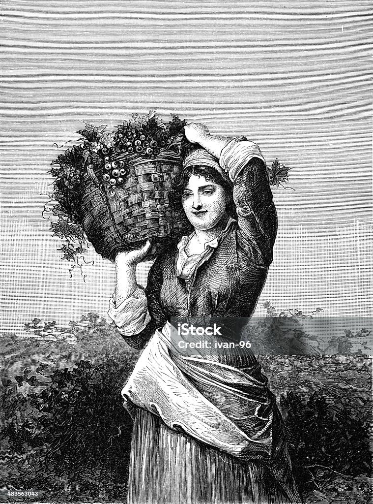 Mujeres de las uvas de transporte - Ilustración de stock de Vinicultura libre de derechos