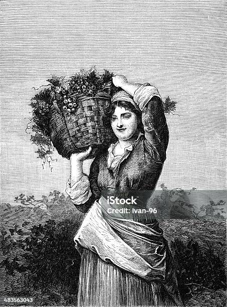 Ilustración de Mujeres De Las Uvas De Transporte y más Vectores Libres de Derechos de Vinicultura - Vinicultura, Mujeres, Uva