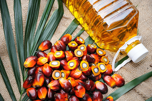 Close up of fresh oil palm fruits and cooking oil, selective focus.  