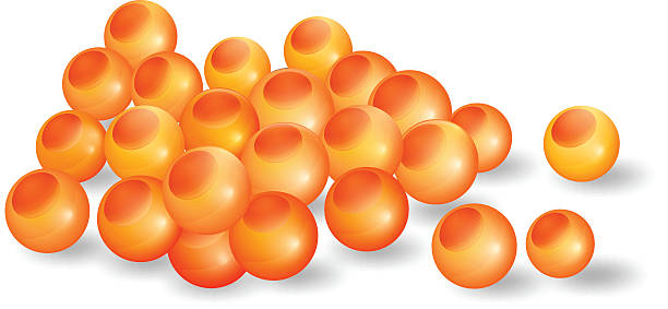 80+ Salmon Eggs Stock Illustrations, Royalty-Free Vector Graphics & Clip  Art - iStock