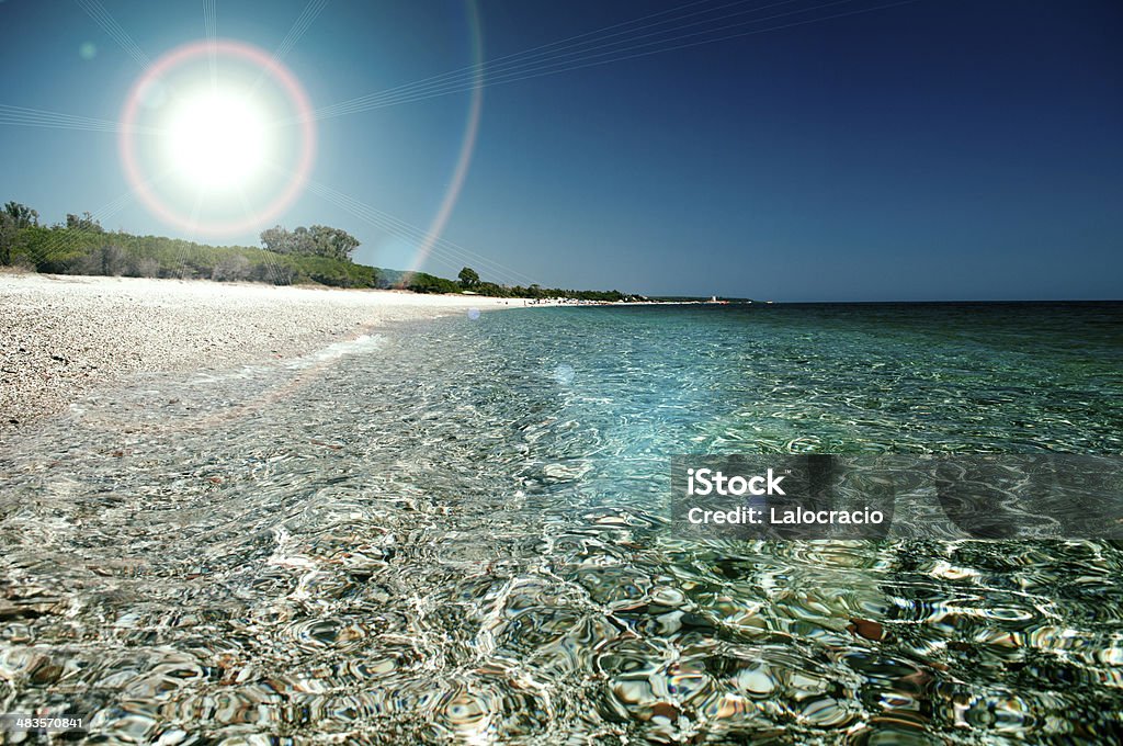 Playa. - Foto de stock de Isla Guadalupe libre de derechos