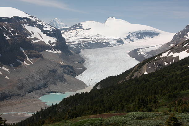 istock View of Saskatchewan Glacier - Alberta, Canada 483571693
