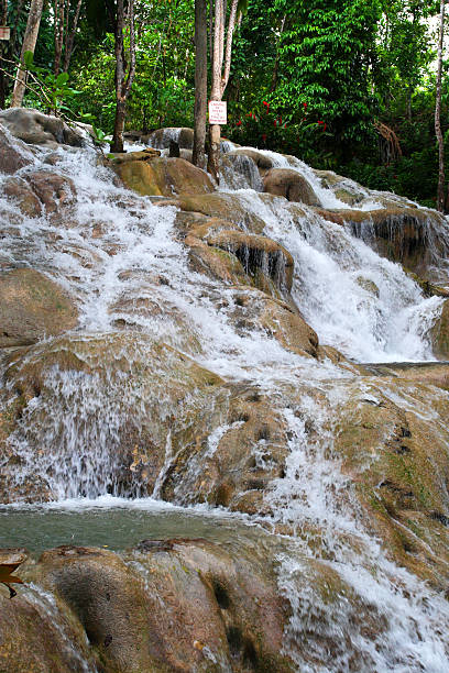 istock Ocho Rios, Jamaica 483571958