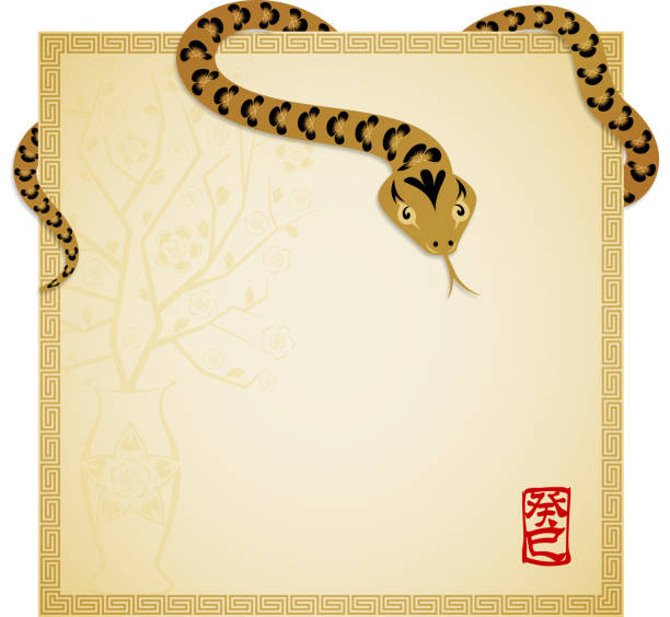 해 스네이크 통지 - snake chinese new year chinese zodiac sign china stock illustrations