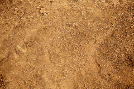 Photograph of tan colored dirt. Small clumps of dirt are sprinkled randomly over a layer of dry dirt and sand.