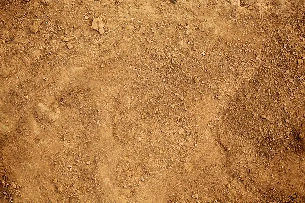 Photo of Background of earth and dirt