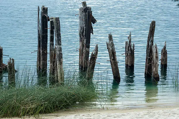 Decayed pier, some wooden pilings remaining