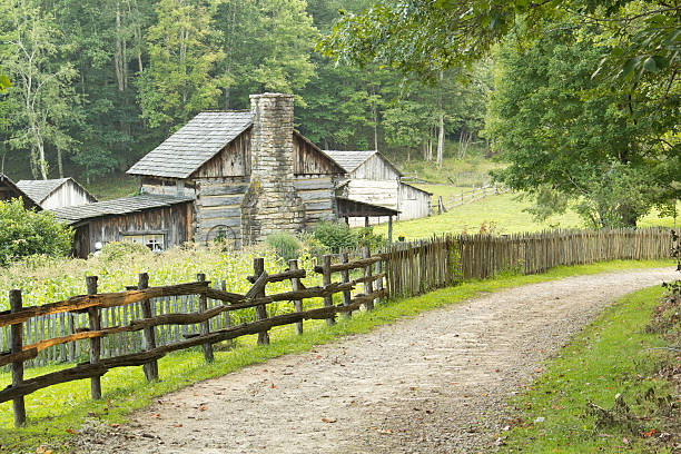 로그 농가 국가에 road - footpath single lane road road farm 뉴스 사진 이미지