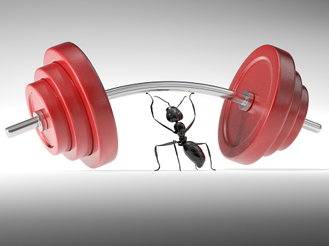 An ant lifting heavy weights. Very high resolution 3D render.
