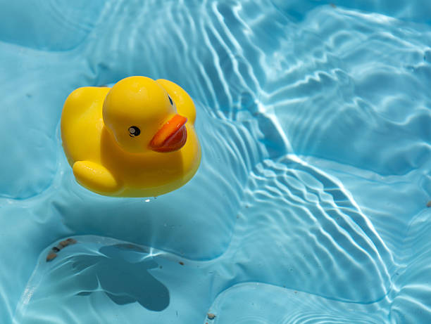 istock toy duck in the pool 483579150