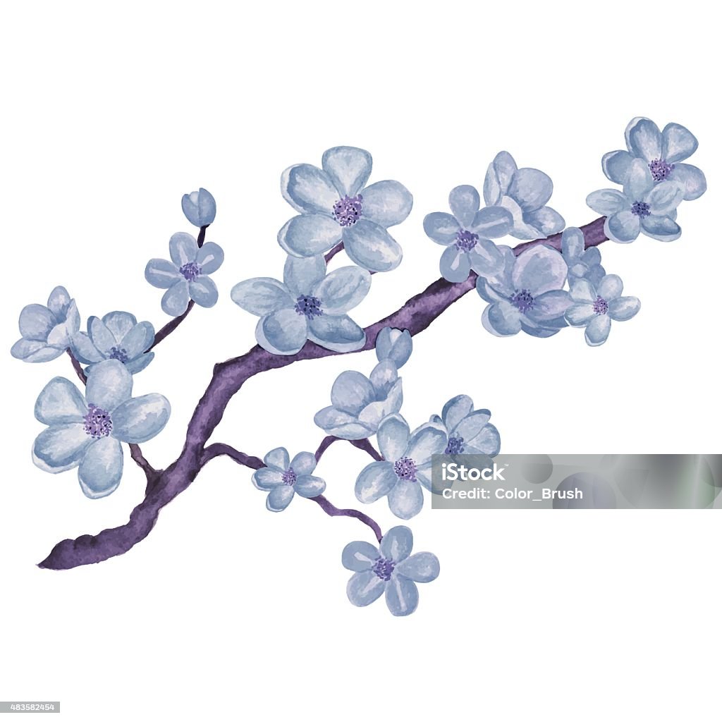 Ilustración de Watercolor Rama De Flor Sakura Azul Con Flores De Cerezo y  más Vectores Libres de Derechos de Flor de cerezo - iStock