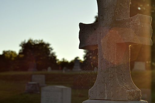 Cross Tombstone with Spiderweb Highlighted by Sun