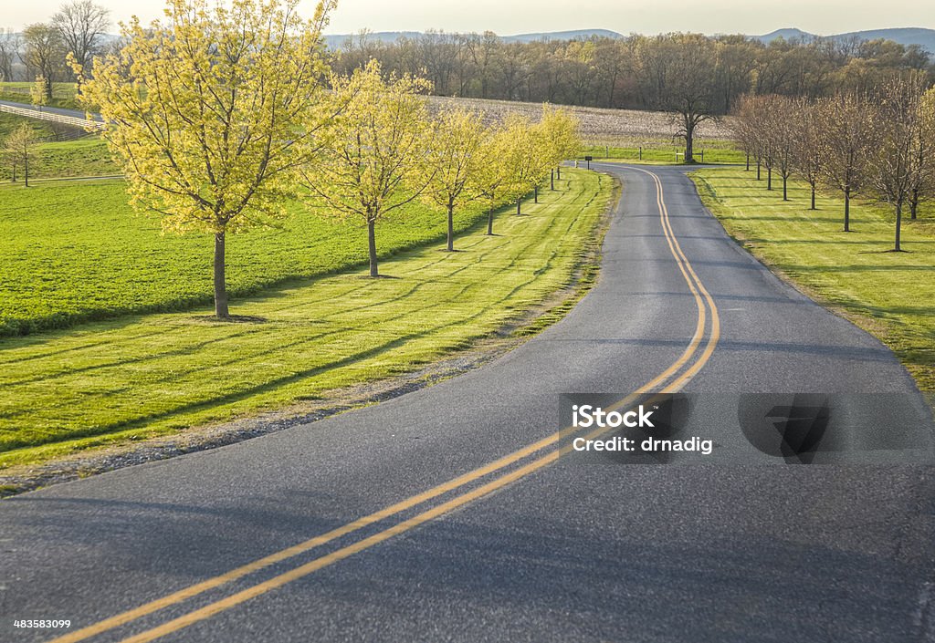 Spring Drive ao longo de uma faixa de país - Foto de stock de Estrada royalty-free