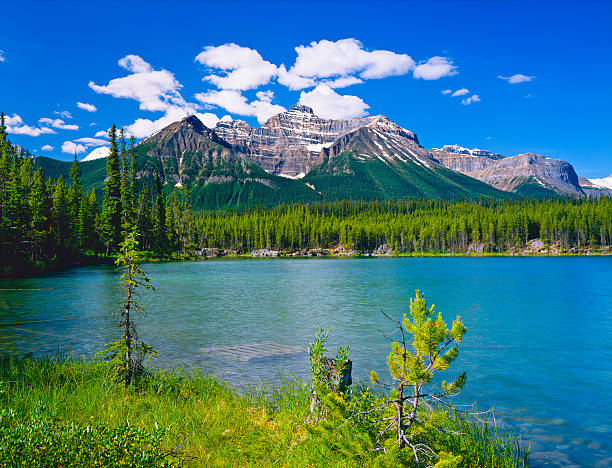 istock Canadian Rockies In Banff NP 483583627