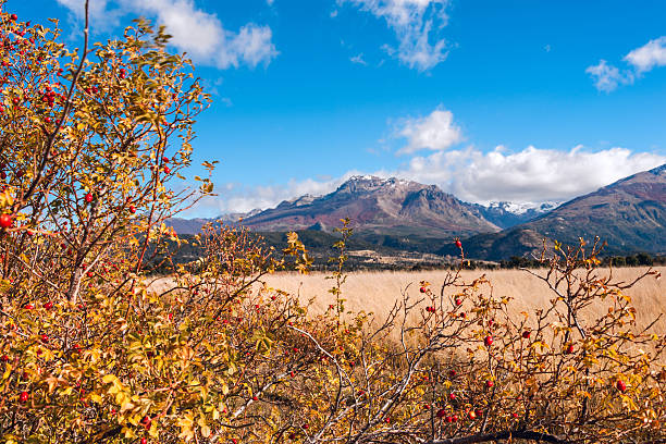 outono cores em el boliche, bariloche, patagônia - south america argentina bariloche autumn imagens e fotografias de stock