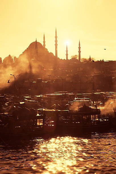 istock Suleymaniye Mosque and Fog 483584675
