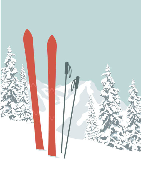 ilustrações, clipart, desenhos animados e ícones de esquis - ski pole