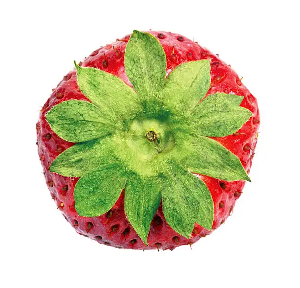 Single strawberry with calyx ("cap") firmly attached.