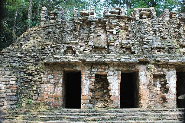 istock Ancient Mayan ruins at Yaxchilan, Chiapas, Mexico 483587012