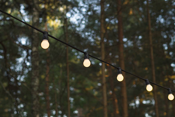 istock Light bulbs on a wire against wood, blurred background 483587050