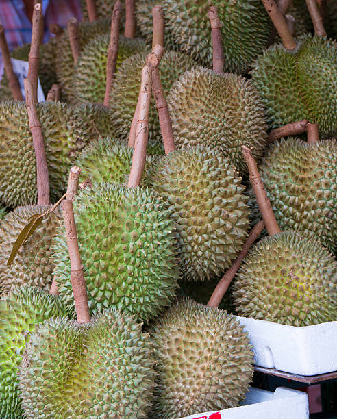 istock Durian in the market - vertical 483590690