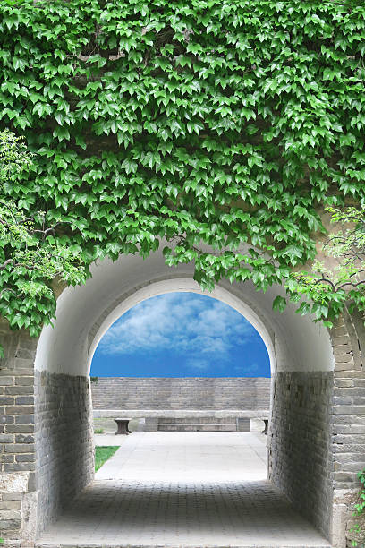 istock Old city gate with green leaves 483591410