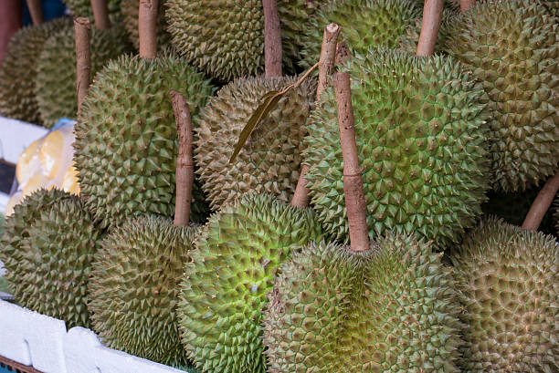 istock Durian in the market - horizontal 483592310