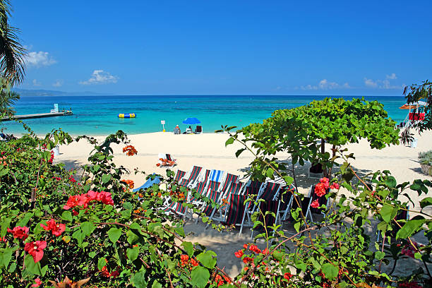 istock Doctor's Cave Beach Club, Montego Bay, Jamaica 483592636