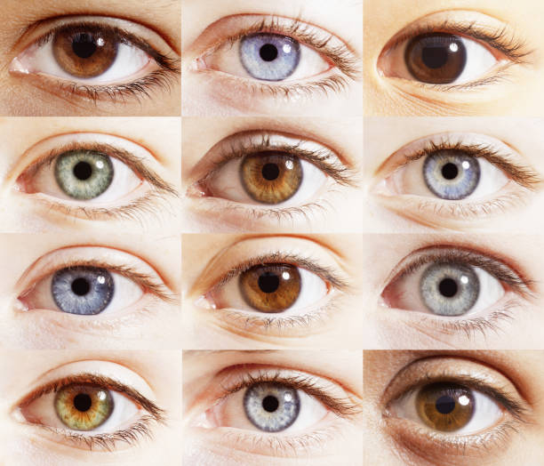Extreme close up of digital composite of eyes stock photo